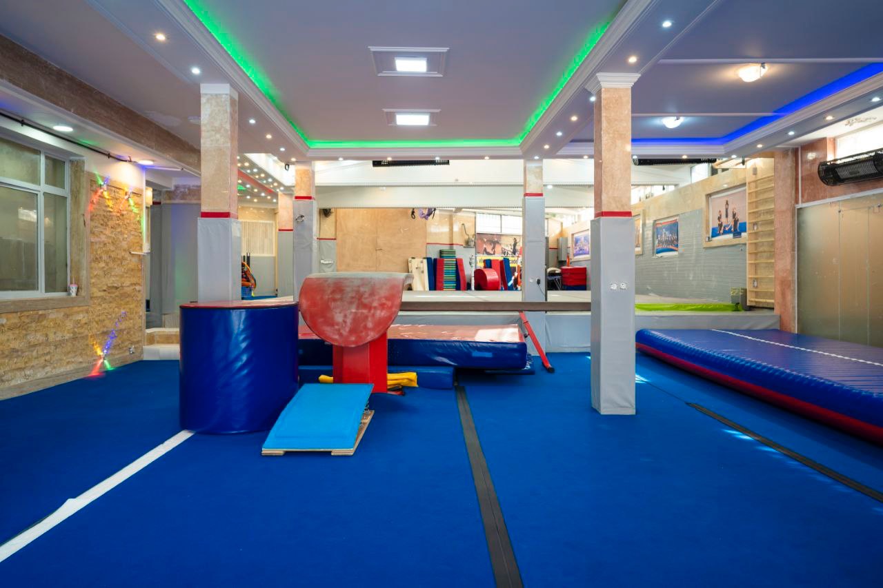 آکادمی ژیمناستیک ویوا (داراباد)